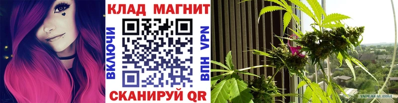 Цена Сургут Кокаин  LSD-25  СОЛЬ  ссылка на мегу зеркало  ГАШ  МЕФ  Бошки Шишки 
