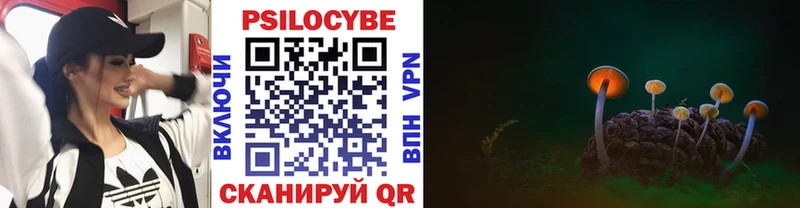 продажа наркотиков  Сургут  Псилоцибиновые грибы прущие грибы 